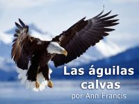 Las_aguilias_calves